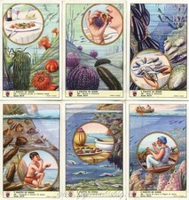 Figurine Lavazza serie n°95 I