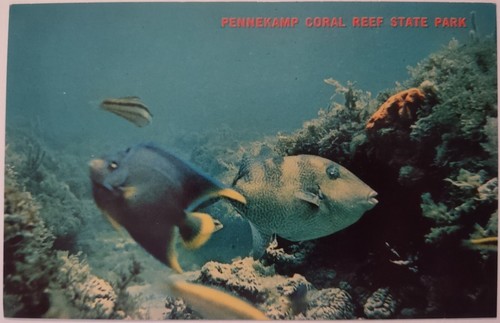 Vintage postcard john - postcard,