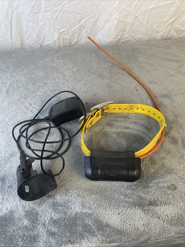 Garmin dc40 collare - garmin,
