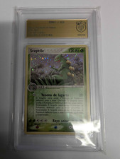 Pokemon Scettile Spagnolo Holo