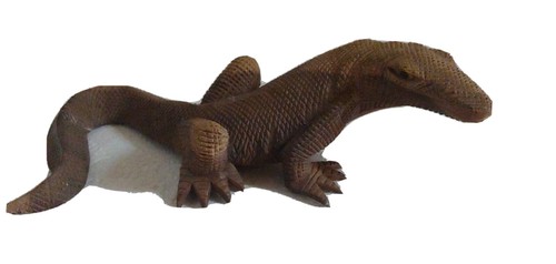 Drago komodo varano - komodo,