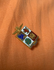 AERONAUTICA MILITARE: PIN