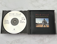 Pink Floyd Delicate Sound Of