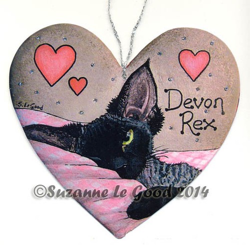 Devon rex cat - cat, sign