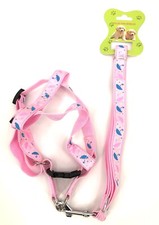 Imbracatura e Guinzaglio per