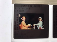 DUMB AND DUMBER - JIM CARREY