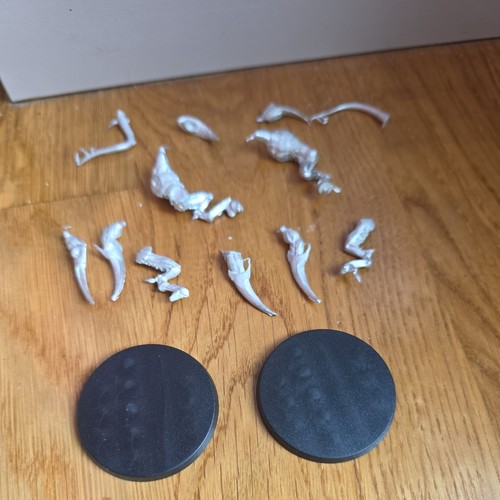 Infinity corvus belli - infinity,