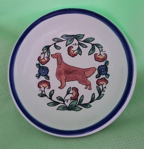 Irish setter piccolo piatto - setter,