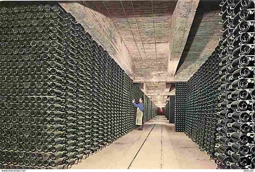 Carte postale vignes caves - postale,
