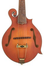 Mandolino elettrico