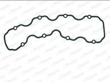 Payen JP018 Guarnizione