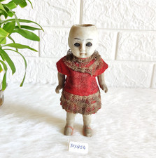 Antico Aperto Testa Porcellana