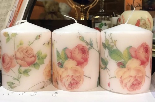 Rosa rambling pink - rosa, candele