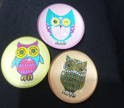 Set3 calamita frigo - , 🦉