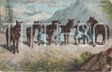 ALPINI - ALTA MONTAGNA -
