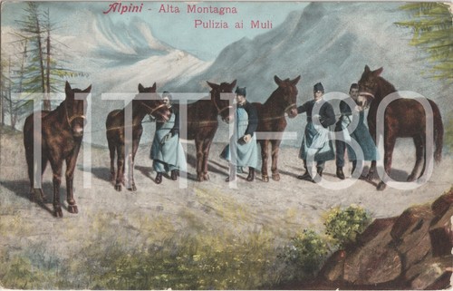 Alpini alta montagna - alpini,