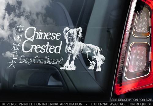Chinese crested dog car - chinese,