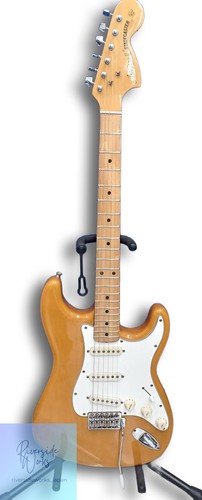 Chitarra elettrica aria proii - aria,