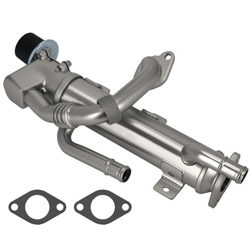 Raffreddatore valvola egr for - valvola,