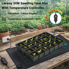 LERWAY piante piantine cuscino