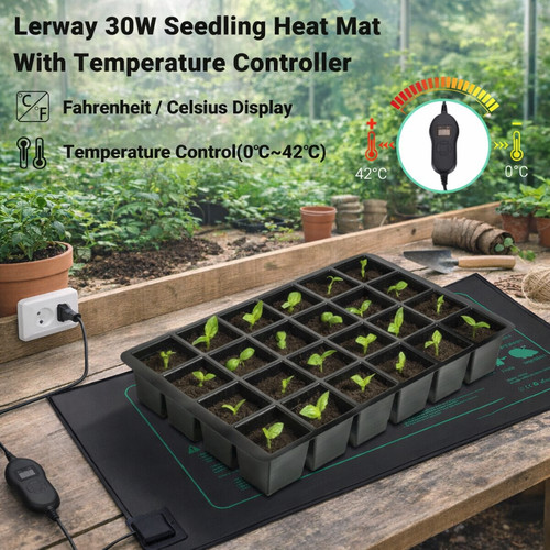 Lerway piante piantine cuscino - piante,