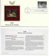 Cats--Siamese, Exotic