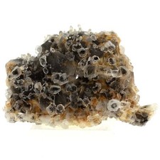 Pietre E Minéraux. Fluorite +