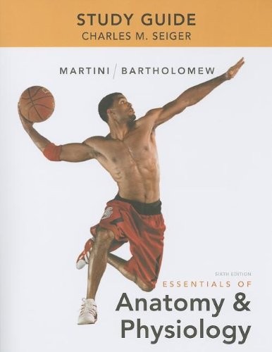 Study guide for - study, essentials