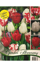 BULBI AUTUNNALI COLLEZIONE 15 BULBI DI TULIPANI ROSSI E BIANCHI PER AIUOLE E VA