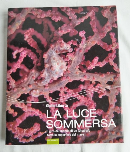 Luce sommersa il giro - ✅,