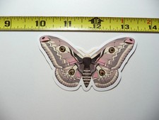 MOTH #2 PICCOLO ADESIVO