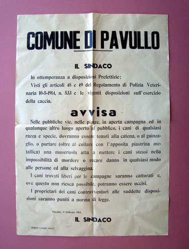 Manifesto comune pavullo - comune,