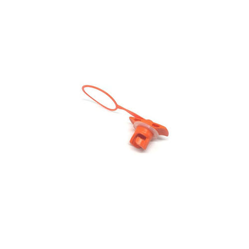 Inserto vite valve cap naish - vite,