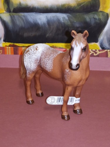 Giumenta appaloosa figura - appaloosa,