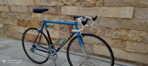 Bici giant