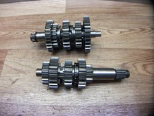 BMW F650 169 Funduro / Alberi