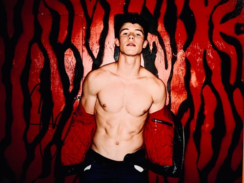 Firmato shawn mendes - shawn, mendes•sexy
