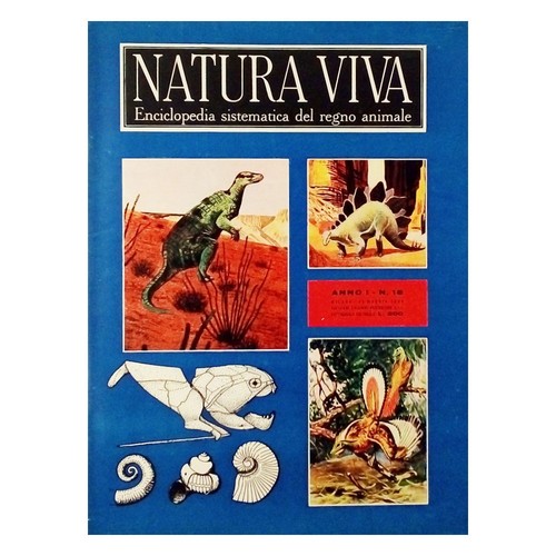 Natura viva anno del - i, n