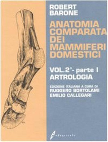 Anatomia comparata dei