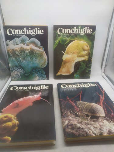 Conchiglie tutti mari 4 - i,