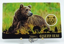 Orso Grizzly - America's Big 5