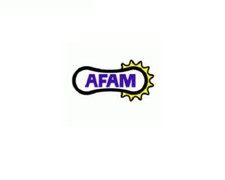 CORONA AFAM IN ACCIAIO P520 -