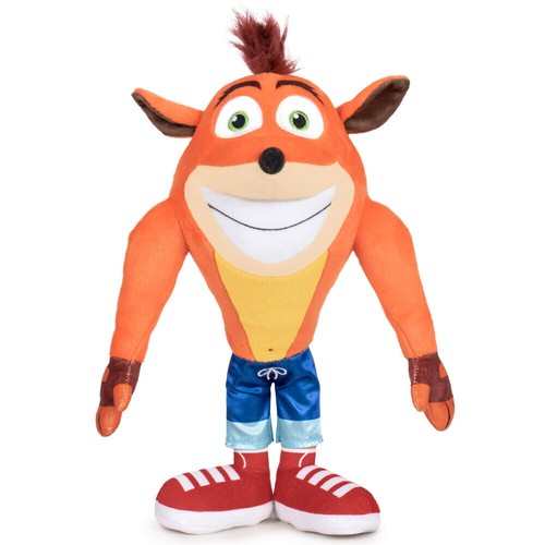 Crash bandicoot ready - bandicoot,