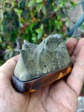 ✨✨Suiseki Bonsai In