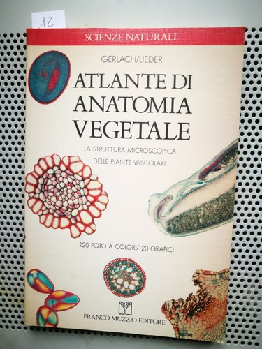 Esoterismo atlante anatomia - esoterismo,