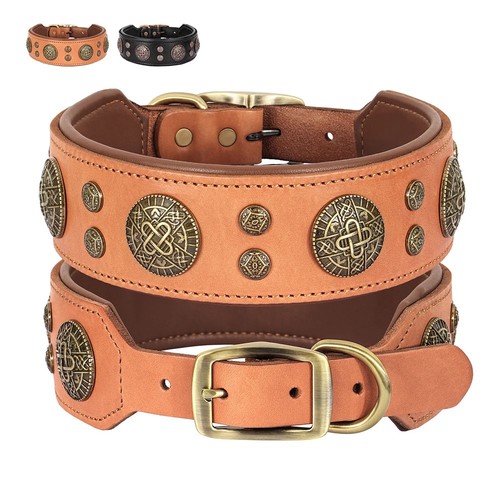 Collare per cani - , borchie