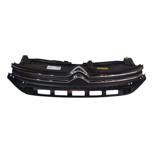 Griglia anteriore citroen - griglia,
