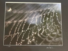 Fotografia macro firmata Fine