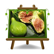 Fico Dottato Pianta da frutto