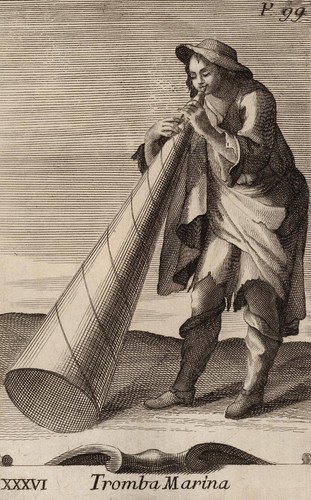 Tromba marina bonanni - marina,